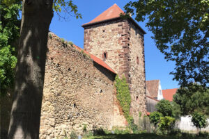 Mehr über den Artikel erfahren Bundesförderung für Stadtmauer Freinsheim